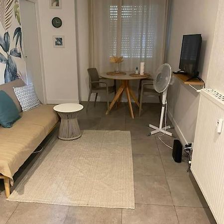 Jungle Appart 尼斯 外观 照片